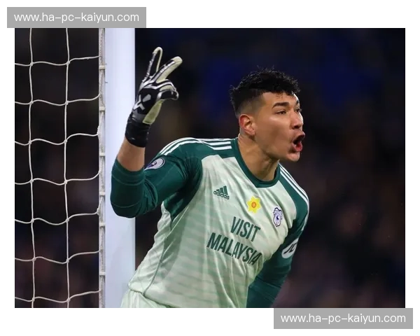 绿茵激战，火花四溅！诺维奇vs考文垂直播：一场不容错过的英冠巅峰对决